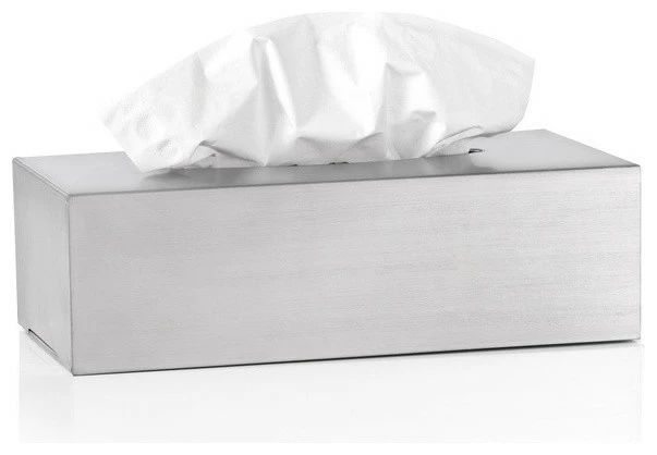 Cheap ๐ Blomus Nexio Stainless Steel Tissue Holder, Matte Stainless Steel ๐ฅฐ